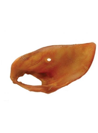 Oreja de cerdo grande